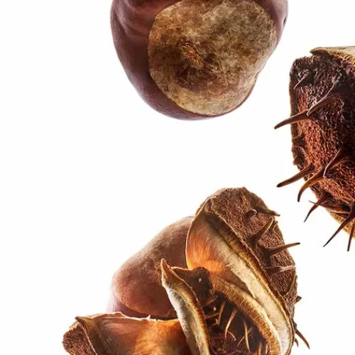 Shop Nutri-Lumiere Jour Tratamientos De Día